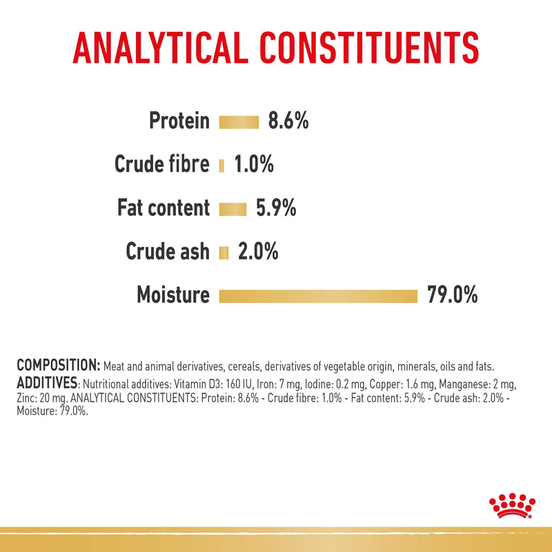 ROYAL CANIN® Dachshund Breed Adult Wet Dog Food Pouches 12x85g