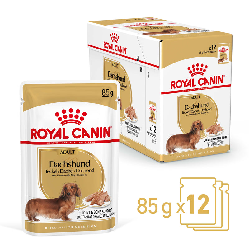 ROYAL CANIN® Dachshund Breed Adult Wet Dog Food Pouches 12x85g