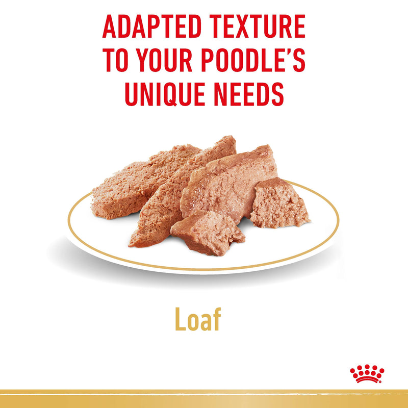 ROYAL CANIN® Poodle Breed Wet Dog Food Loaf Pouches 12x85g