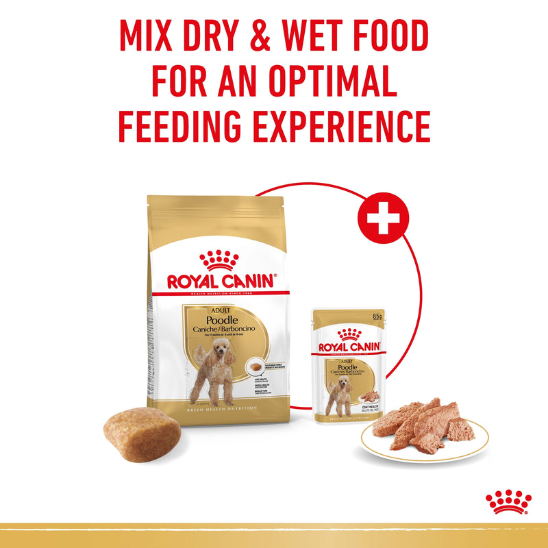 ROYAL CANIN® Poodle Breed Wet Dog Food Loaf Pouches 12x85g