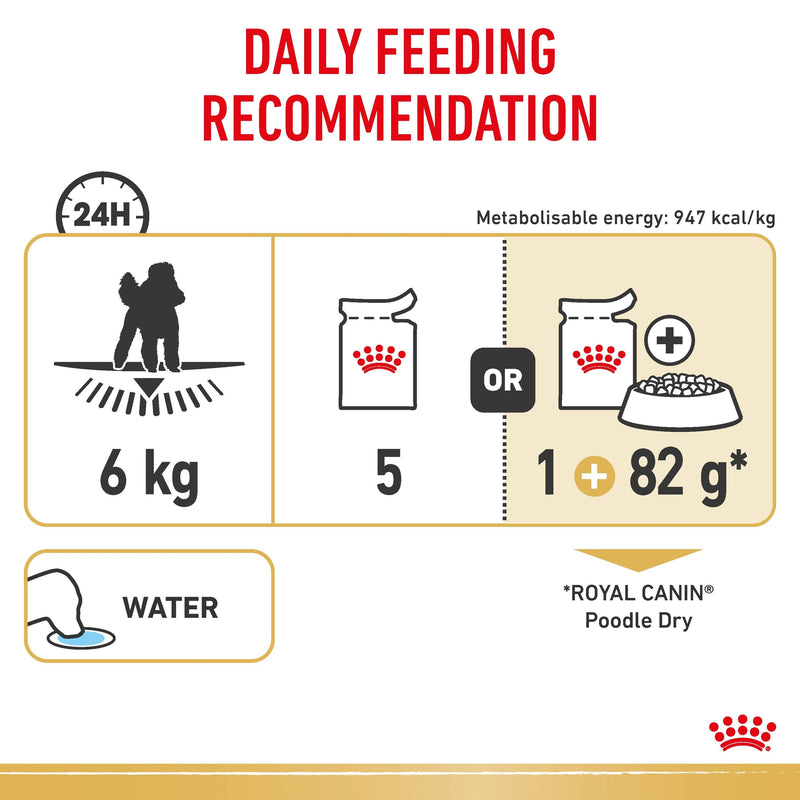 ROYAL CANIN® Poodle Breed Wet Dog Food Loaf Pouches 12x85g