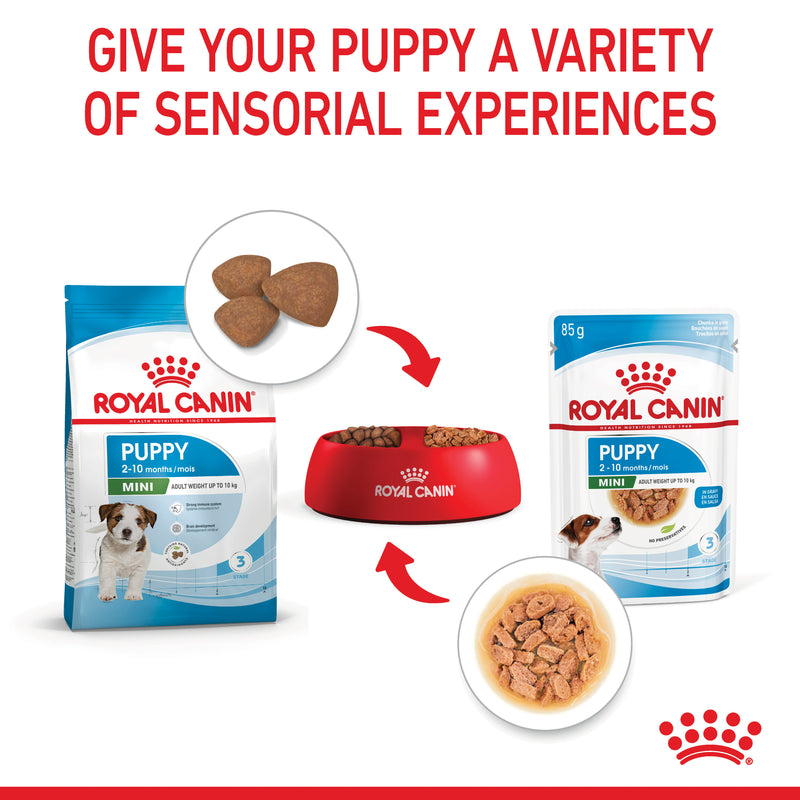 ROYAL CANIN® Mini Puppy Wet Dog Food Pouches 12x85g