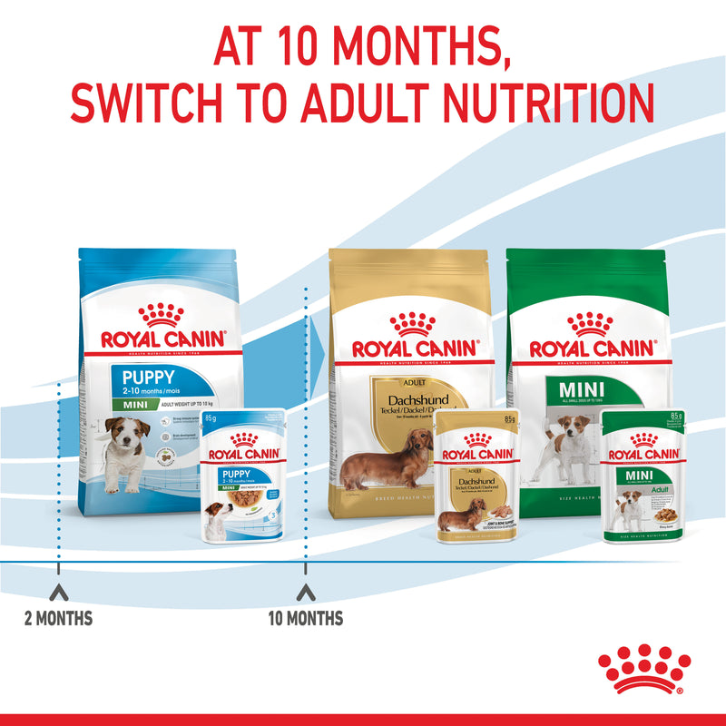 ROYAL CANIN® Mini Puppy Wet Dog Food Pouches 12x85g