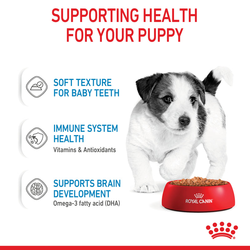 ROYAL CANIN® Mini Puppy Wet Dog Food Pouches 12x85g