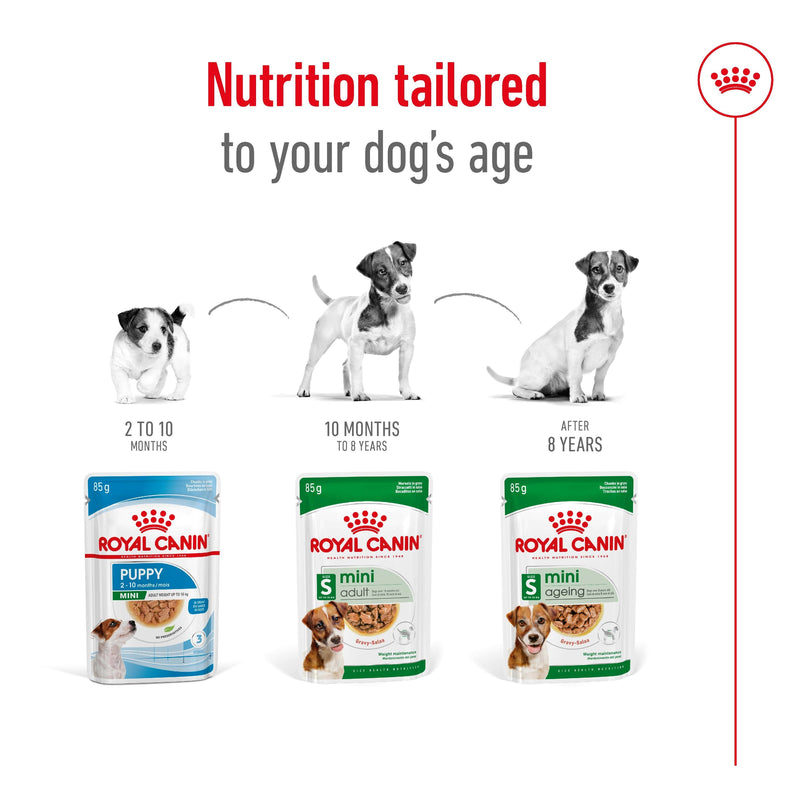 ROYAL CANIN® Mini Ageing Wet Chunks in Gravy Dog Food Pouches 12x85g