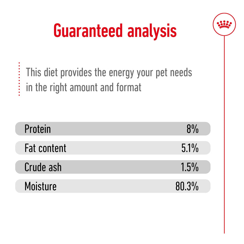 ROYAL CANIN® Mini Ageing Wet Chunks in Gravy Dog Food Pouches 12x85g