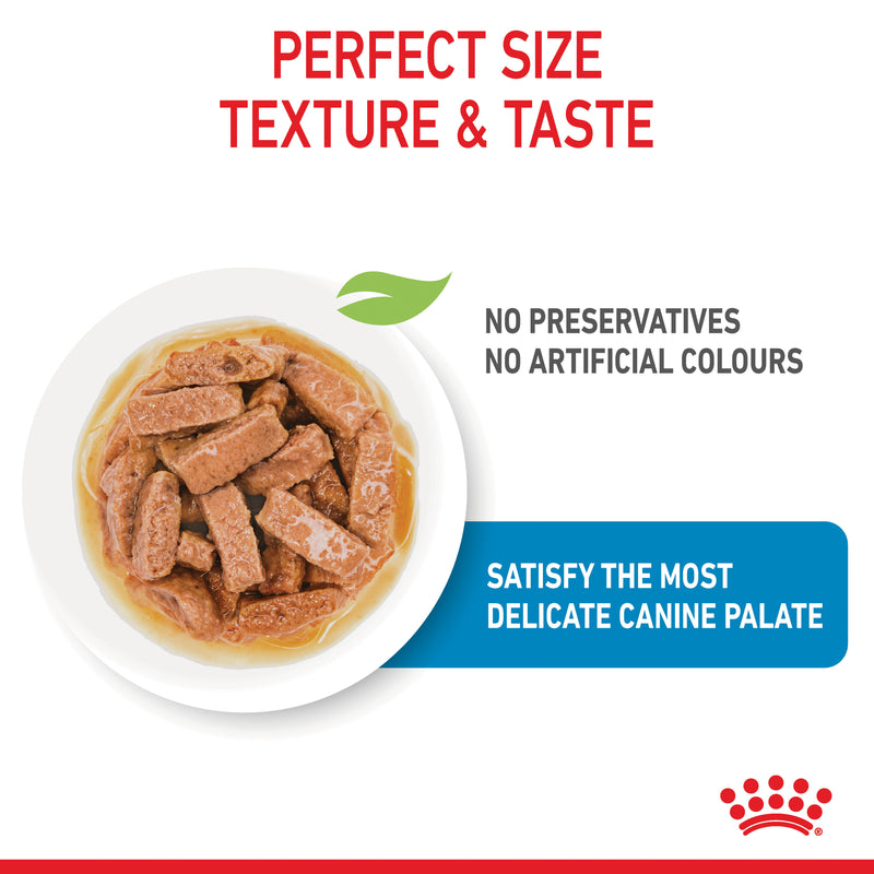 ROYAL CANIN® Maxi Puppy Wet Dog Food Pouches 10x140g
