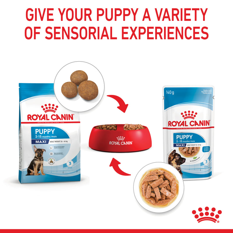 ROYAL CANIN® Maxi Puppy Wet Dog Food Pouches 10x140g