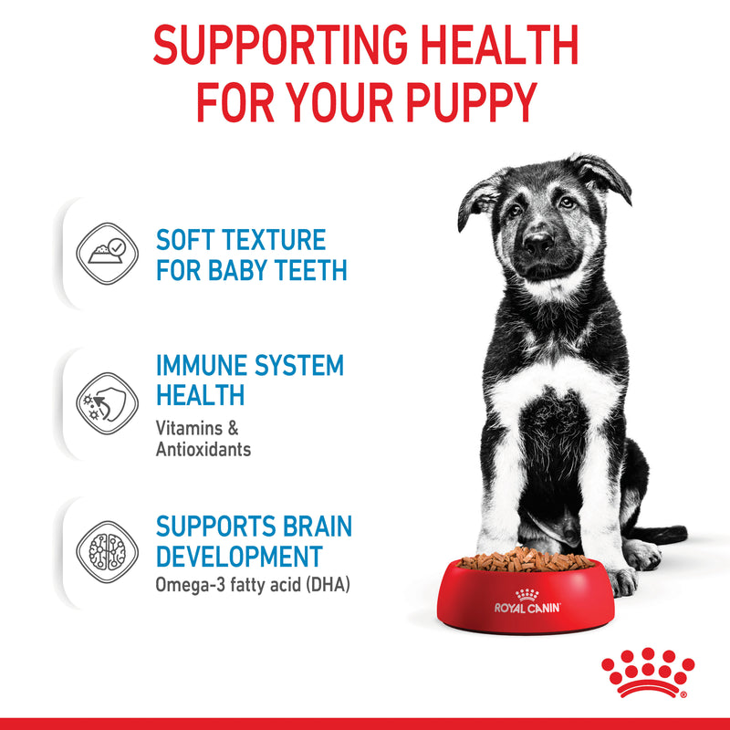 ROYAL CANIN® Maxi Puppy Wet Dog Food Pouches 10x140g