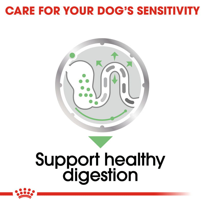 ROYAL CANIN® Digestive Care Loaf Wet Dog Food Pouches 12x85g