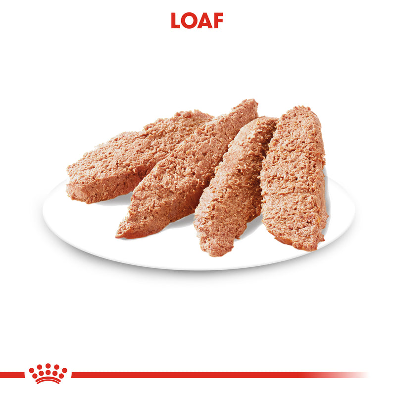 ROYAL CANIN® Digestive Care Loaf Wet Dog Food Pouches 12x85g