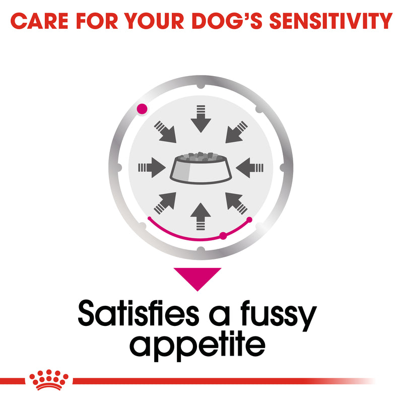ROYAL CANIN® Exigent Loaf Wet Dog Food Pouches 12x85g