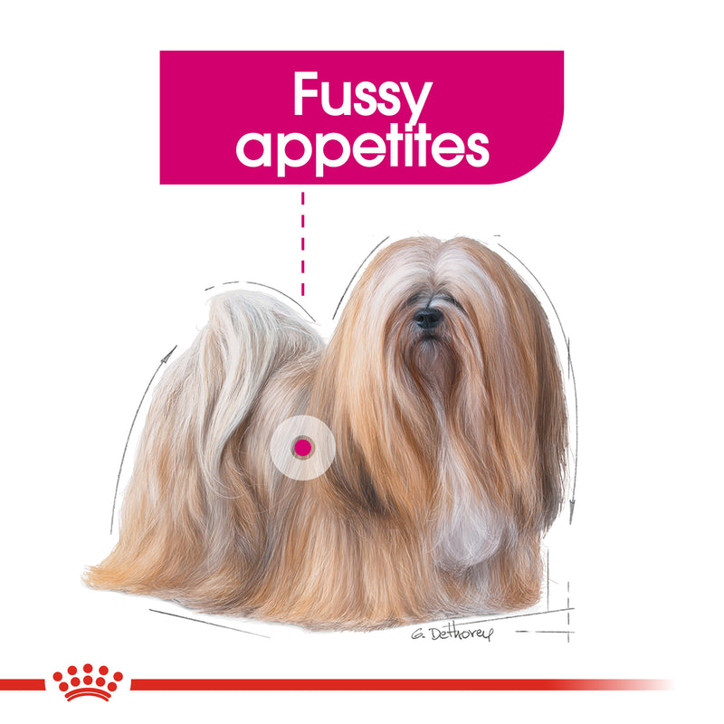 ROYAL CANIN® Exigent Loaf Wet Dog Food Pouches 12x85g