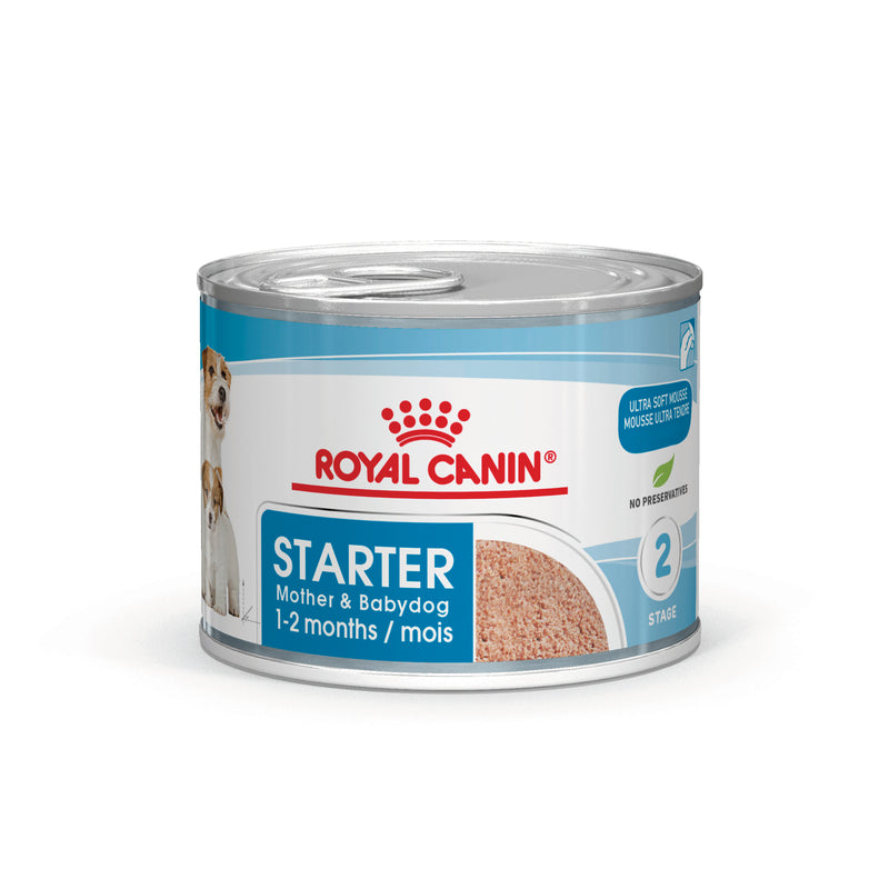 ROYAL CANIN® Starter Mousse Mother & Babydog Mousse - 12 x 195g