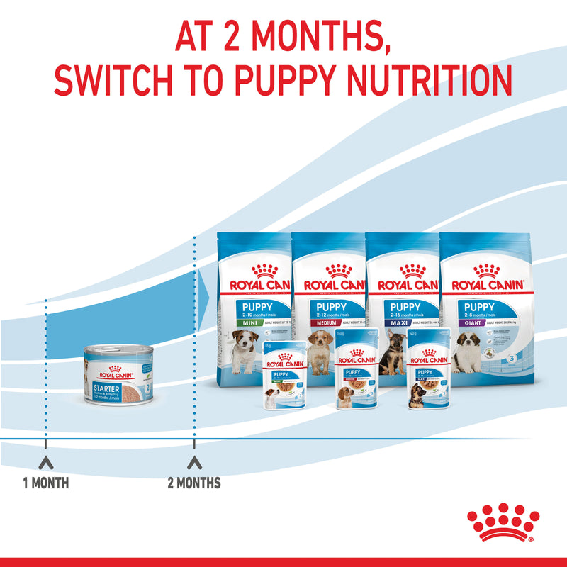ROYAL CANIN® Starter Mousse Mother & Babydog Mousse - 12 x 195g