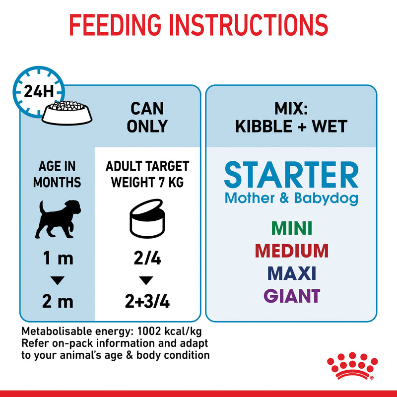 ROYAL CANIN® Starter Mousse Mother & Babydog Mousse - 12 x 195g