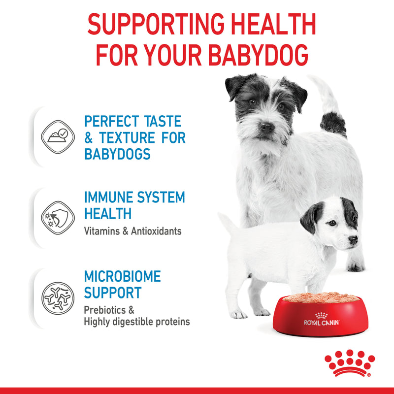 ROYAL CANIN® Starter Mousse Mother & Babydog Mousse - 12 x 195g