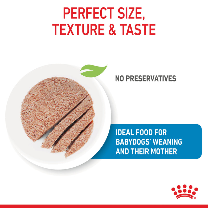 ROYAL CANIN® Starter Mousse Mother & Babydog Mousse - 12 x 195g