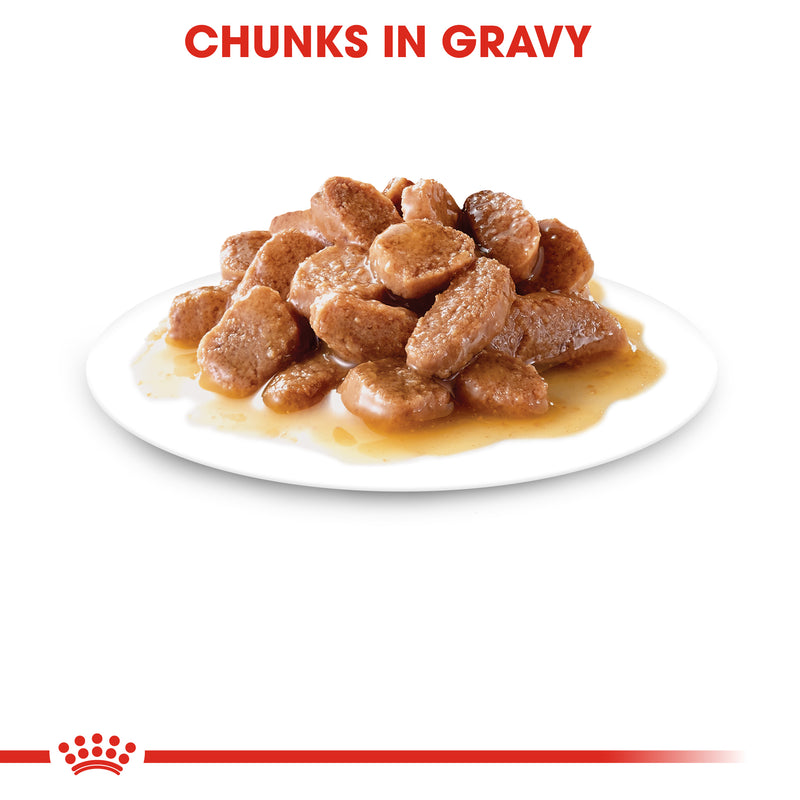 ROYAL CANIN® Indoor Adult in Gravy Wet Cat Food Pouches 12x85g