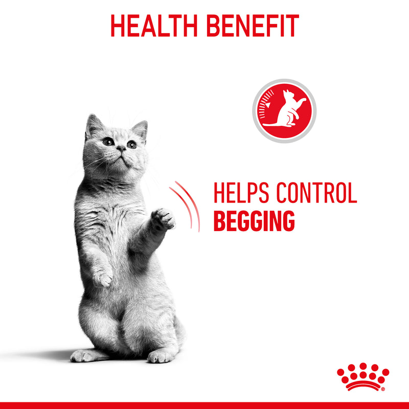 ROYAL CANIN® Appetite Control Gravy Adult Wet Cat Food Pouches 12x85g