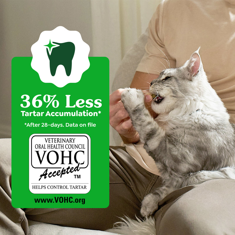GREENIES Feline Dental Treats Roasted Chicken 60g