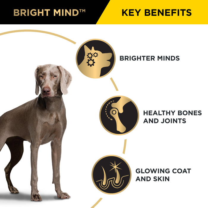 PRO PLAN® Bright Mind™ | Senior Dry Dog Food 7+ | Medium and Large Breeds | Chicken | 12kg