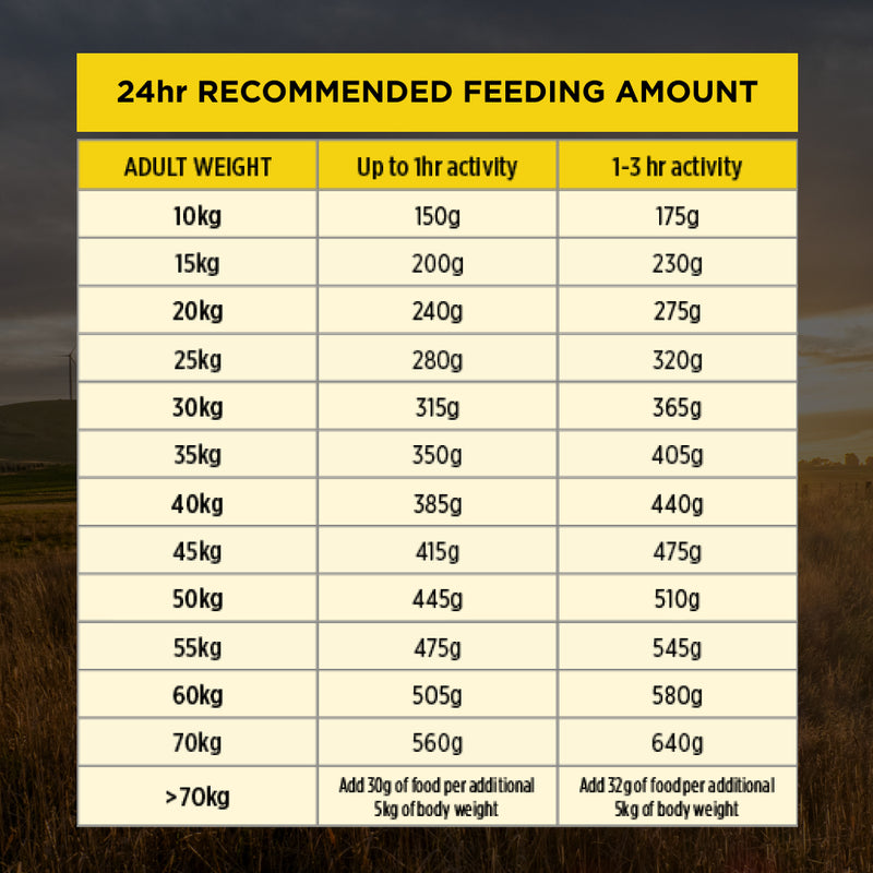 PRO PLAN® Bright Mind™ | Senior Dry Dog Food 7+ | Medium and Large Breeds | Chicken | 12kg