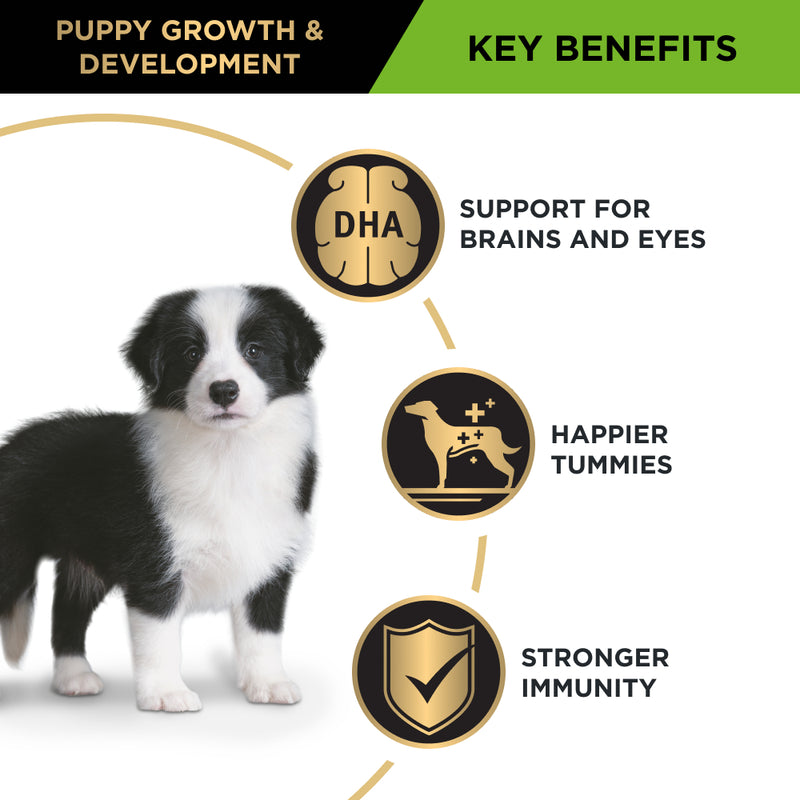 PRO PLAN® | Healthy Growth and Development | Dry Puppy Food | Medium Breeds | Chicken