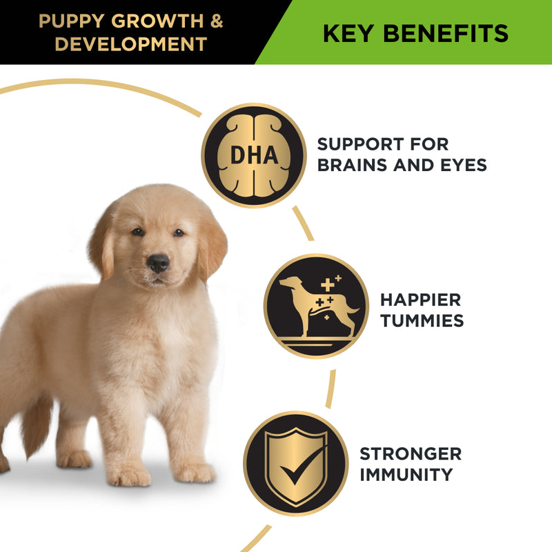PRO PLAN® | Healthy Growth and Development | Dry Puppy Food | Large Breeds | Chicken