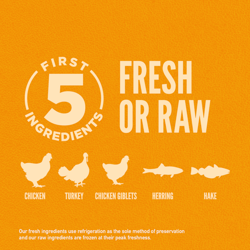 Orijen Dog Dry Food Puppy