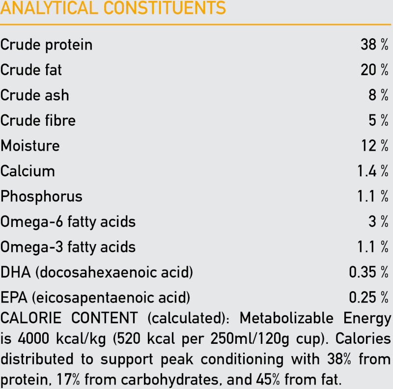 Orijen Dog Dry Food Puppy