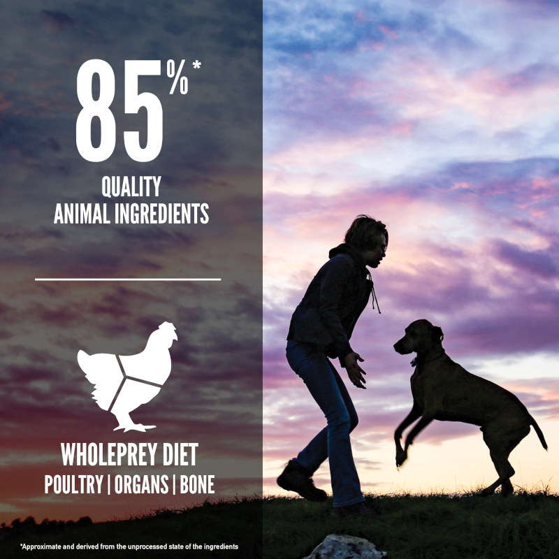 Orijen Puppy Large Breed