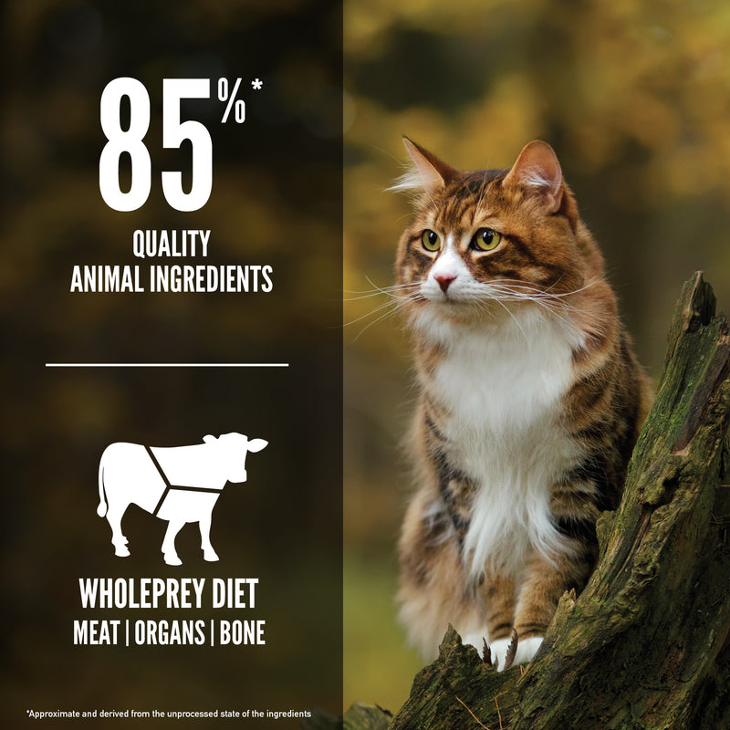 Orijen Regional Red Cat Food