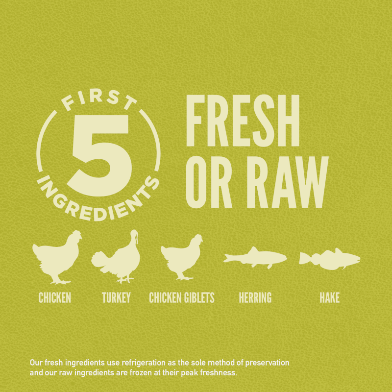 Orijen Senior Dog Food