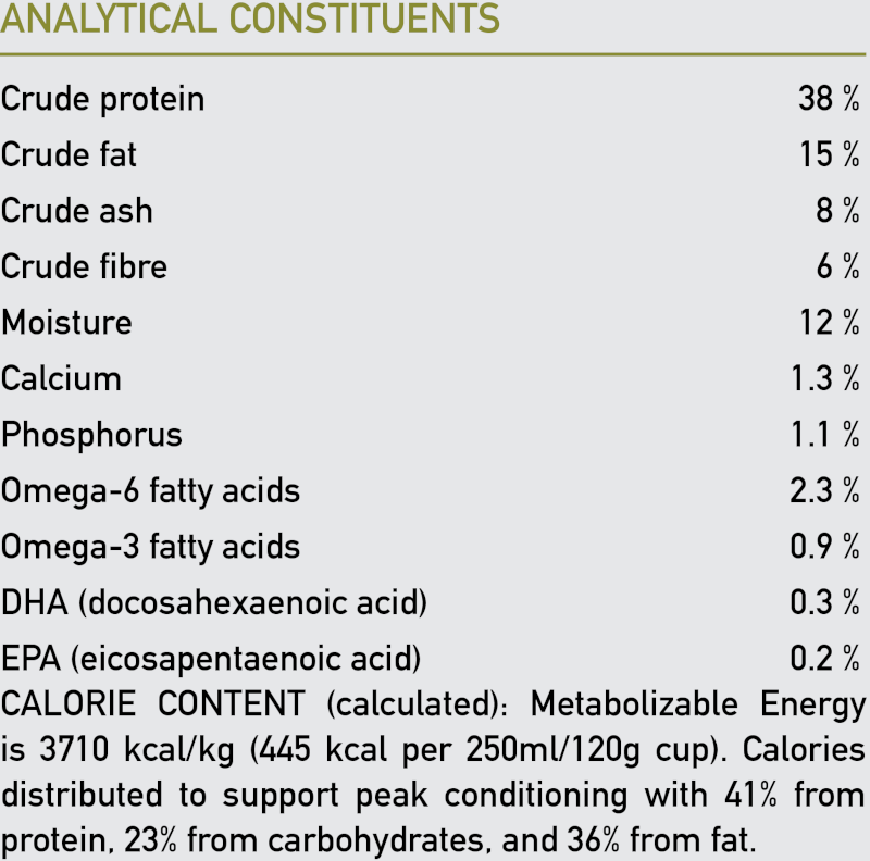 Orijen Senior Dog Food