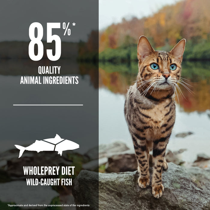 Orijen Six Fish - Cat Food