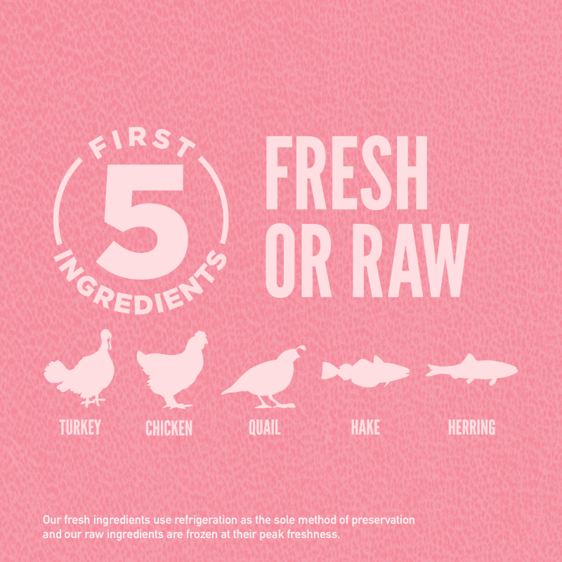 Orijen Dog Small Bites