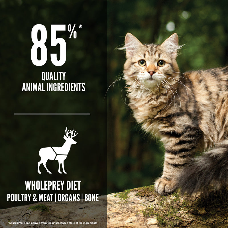 Orijen Cat Tundra