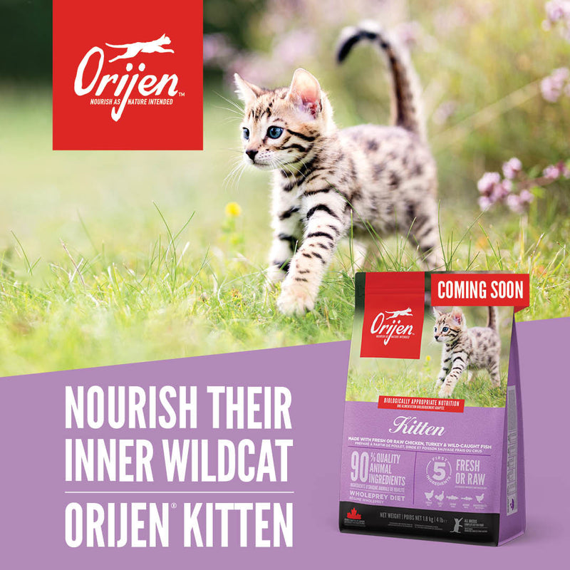 Orijen Cat and Kitten