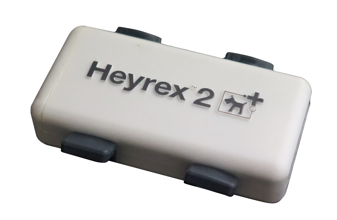 Heyrex 2  - Your dog’s personal health, fitness & location tracker