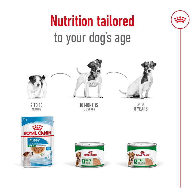 ROYAL CANIN® MINI ADULT Loaf Dog Food Can 12x195g