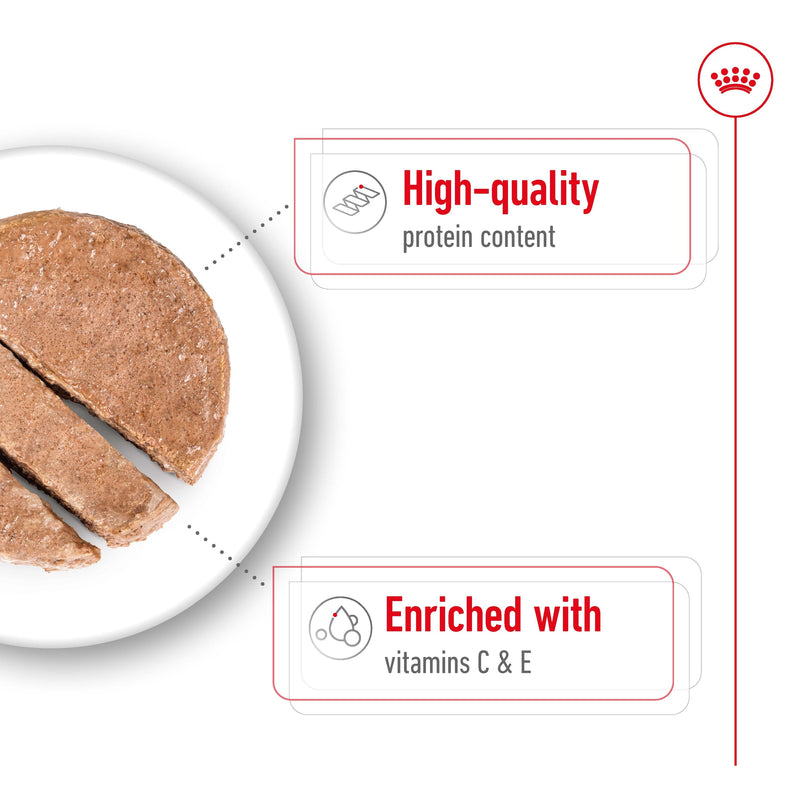 ROYAL CANIN® MEDIUM ADULT Loaf Dog Food Can - 12 x 410g