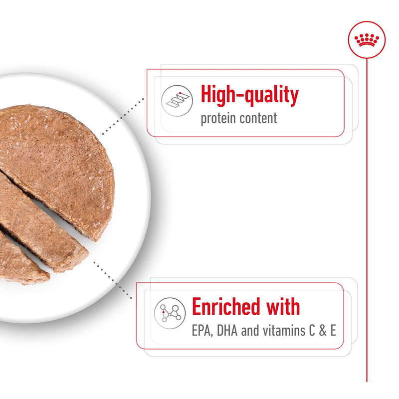 ROYAL CANIN® MEDIUM AGEING Loaf Dog Food Can - 12 x 410g