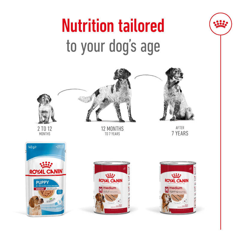 ROYAL CANIN® MEDIUM AGEING Loaf Dog Food Can - 12 x 410g