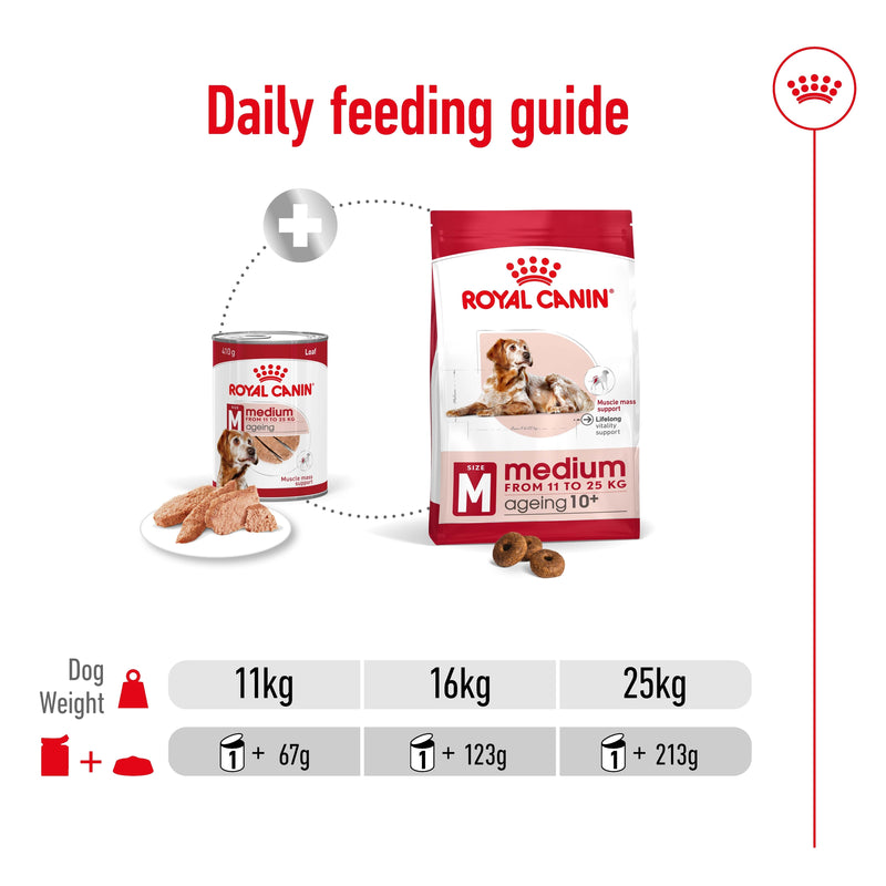 ROYAL CANIN® MEDIUM AGEING Loaf Dog Food Can - 12 x 410g