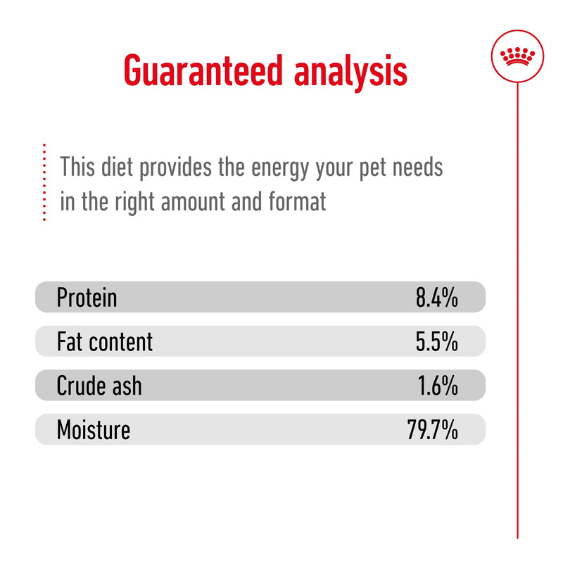 ROYAL CANIN® MEDIUM AGEING Loaf Dog Food Can - 12 x 410g
