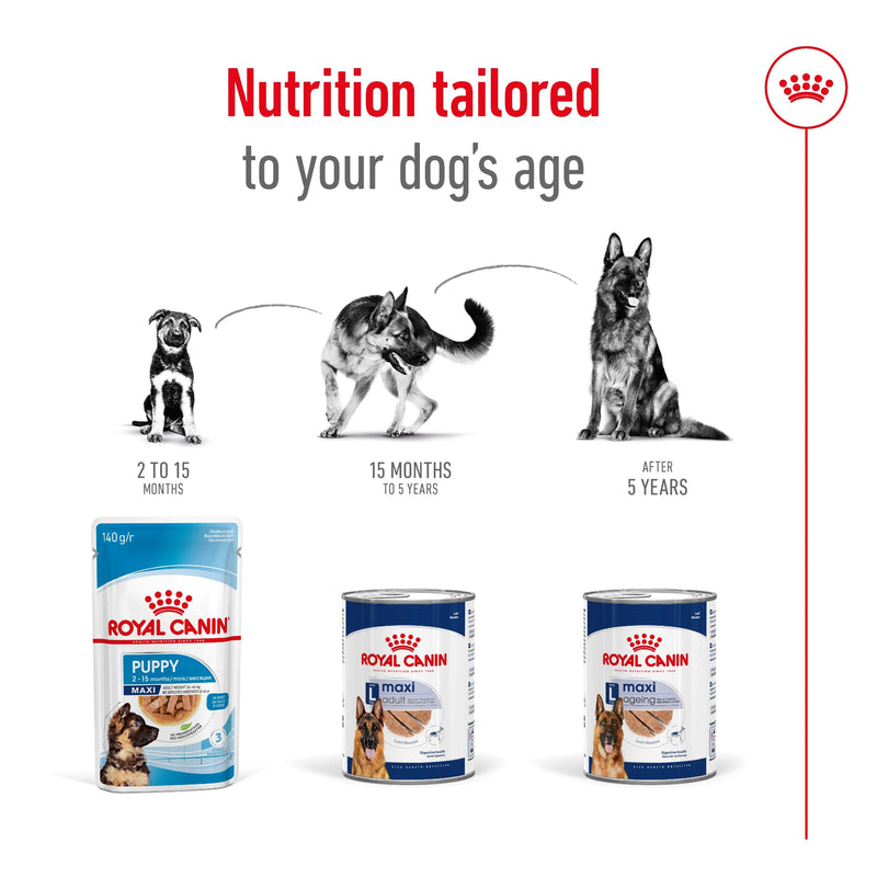 ROYAL CANIN® MAXI AGEING Loaf Dog Food Can - 12 x 410g