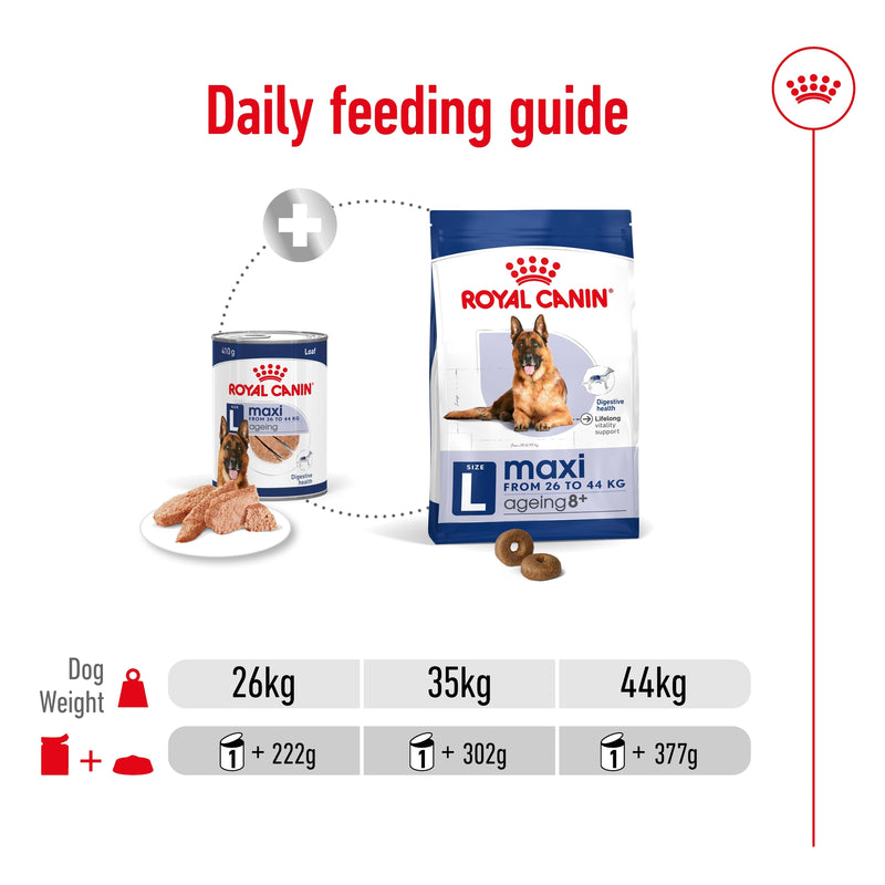 ROYAL CANIN® MAXI AGEING Loaf Dog Food Can - 12 x 410g
