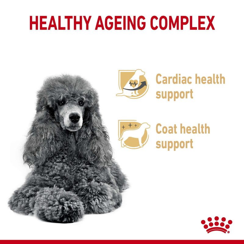 ROYAL CANIN® Poodle Breed Adult 8+ Dry Dog Food - 1.5kg