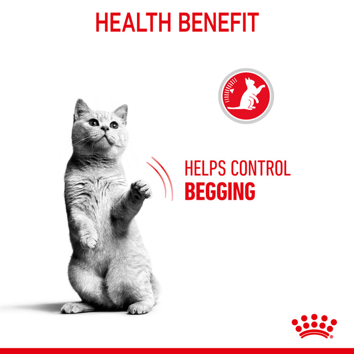ROYAL CANIN® Appetite Control Adult Dry Cat Food